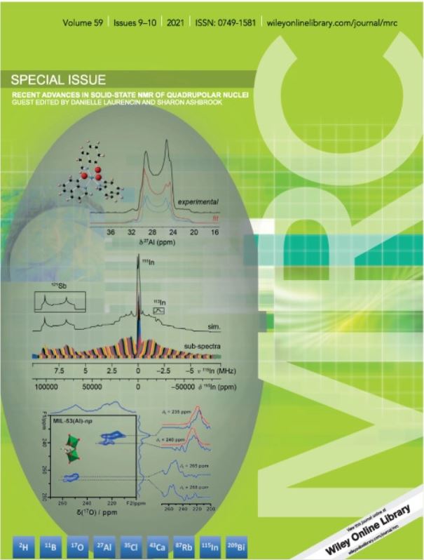 Special Issue: Recent advances in solid‐state NMR of quadrupolar nuclei