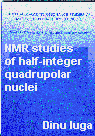 Dinu-Iuga NMR thesis