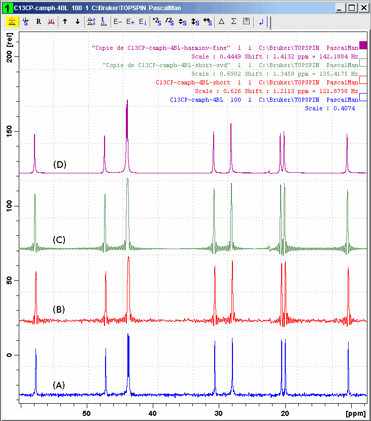 camphor carbon-13 CPMAS spectrum