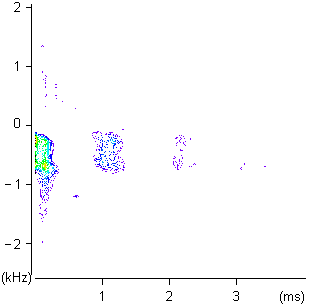 Intensity plot of the transposed 2D echo map