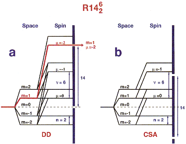 space-spin selection diagram for R14_2_6 pulse sequence
