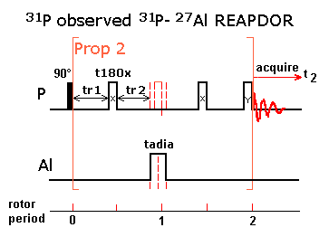 SIMPSON REAPDOR pulse sequence