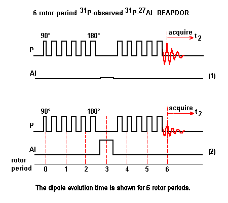 REAPDOR pulse sequence
