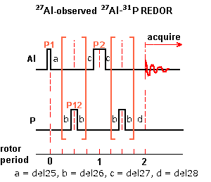 SIMPSON REDOR pulse sequence