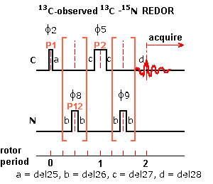 topspin3 REDOR pulse sequence