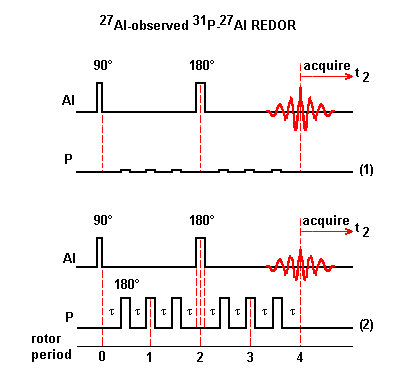 REDOR pulse sequence